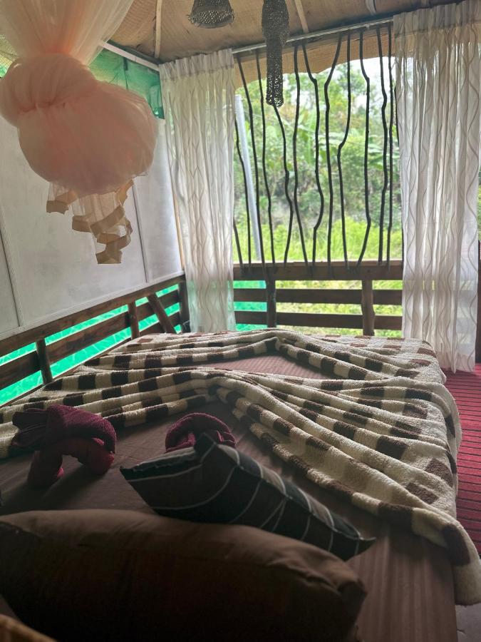 A Lounge Hostel And Cafe เอลลา ภายนอก รูปภาพ